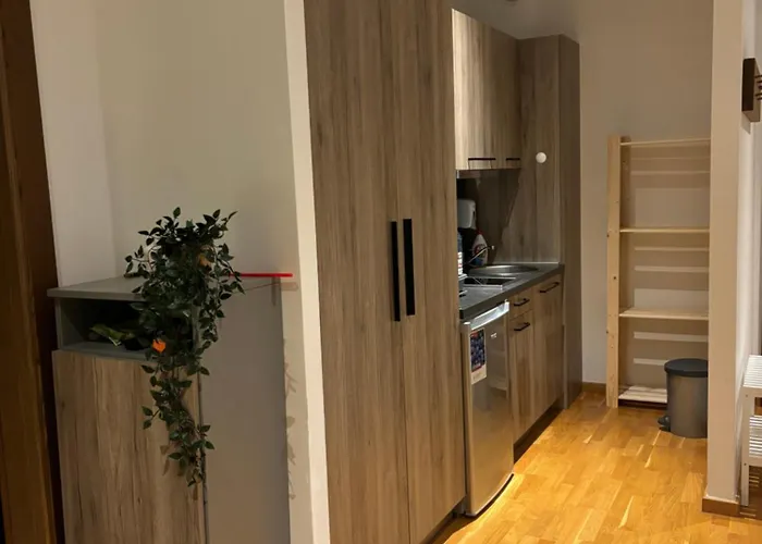 Brzece Gondola & Free Parking *